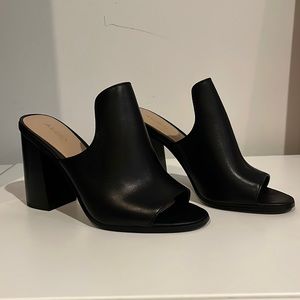 Aldo Legossa Mule
